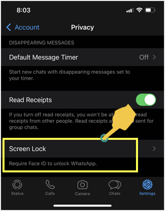 在iPhone中增加WhatsApp隐私的8种方法