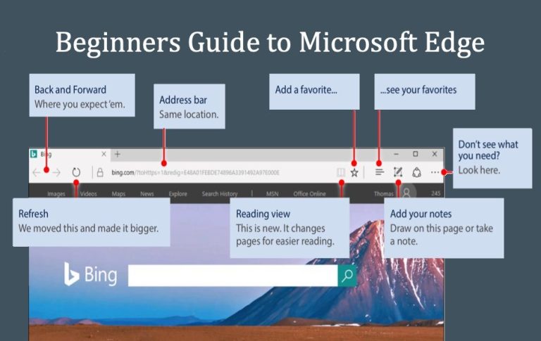 Microsoft Edge初学者指南