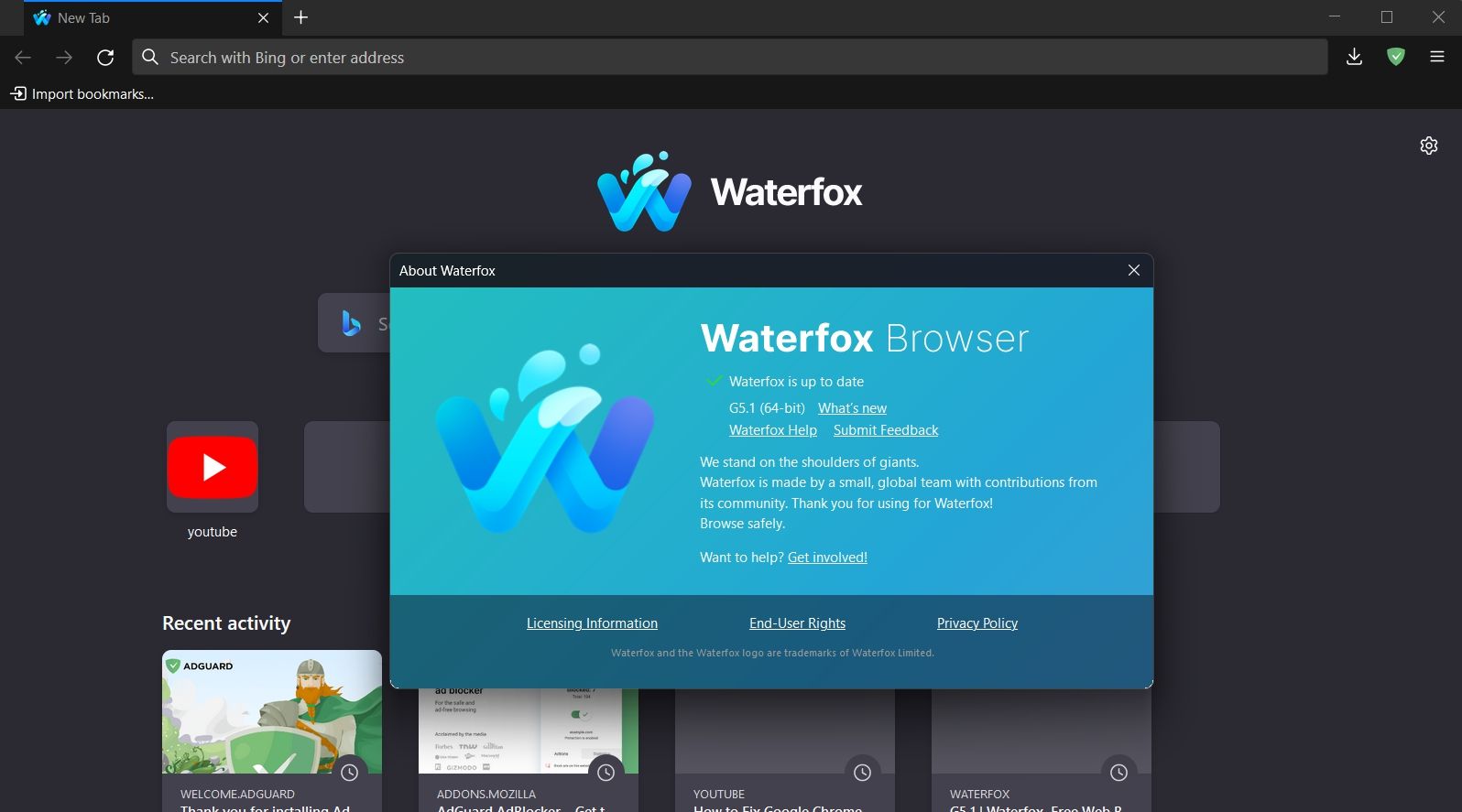 修复Windows Waterfox无法加载网页方法