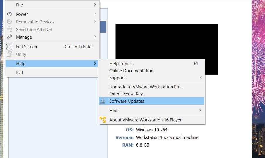 VMware 中的软件更新选项