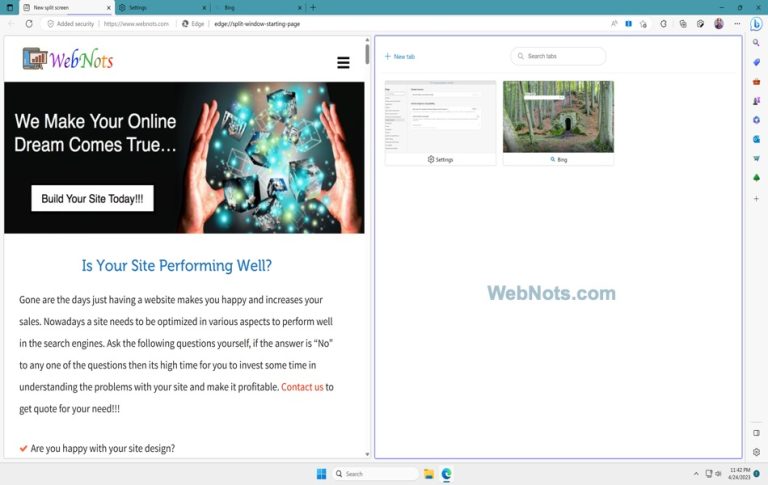 Microsoft Edge Browser With Split Screen View.jpg