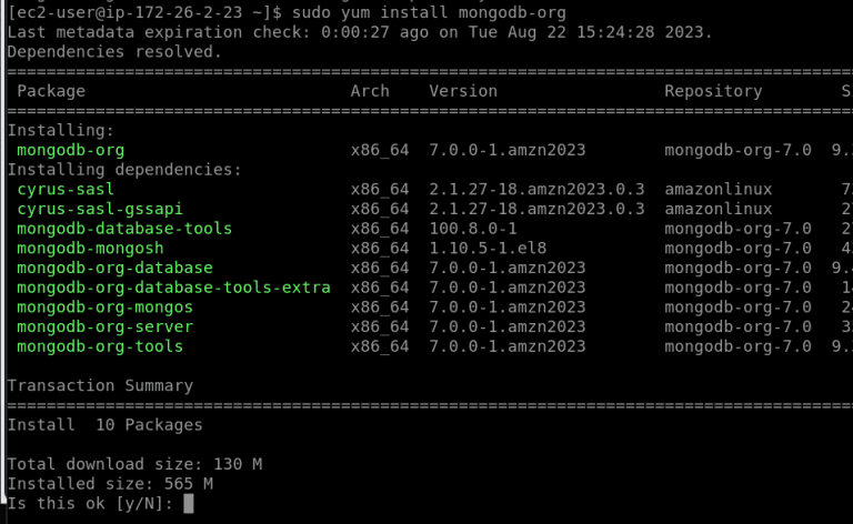 Mongodb Installation On Amazon Linux 2023.png