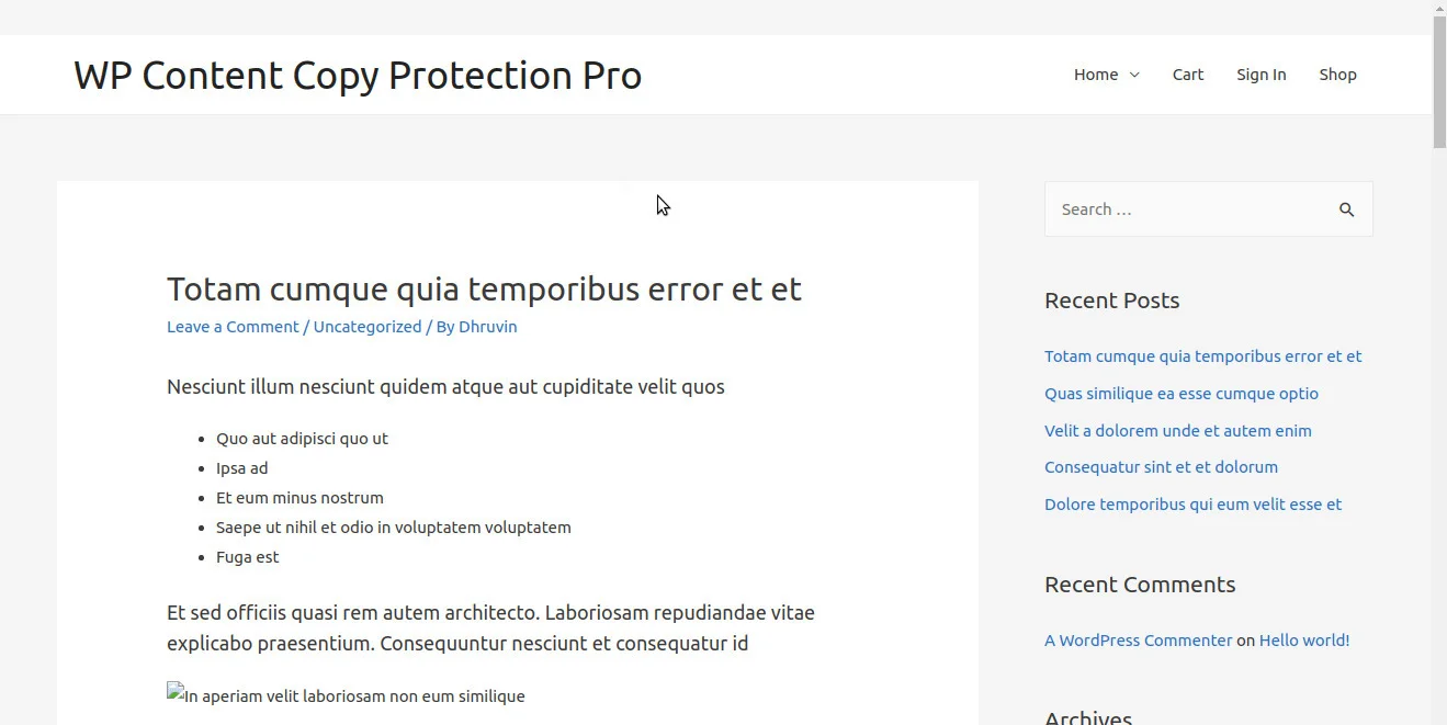 Wordpress内容保护wp Content Copy Protection Pro插件