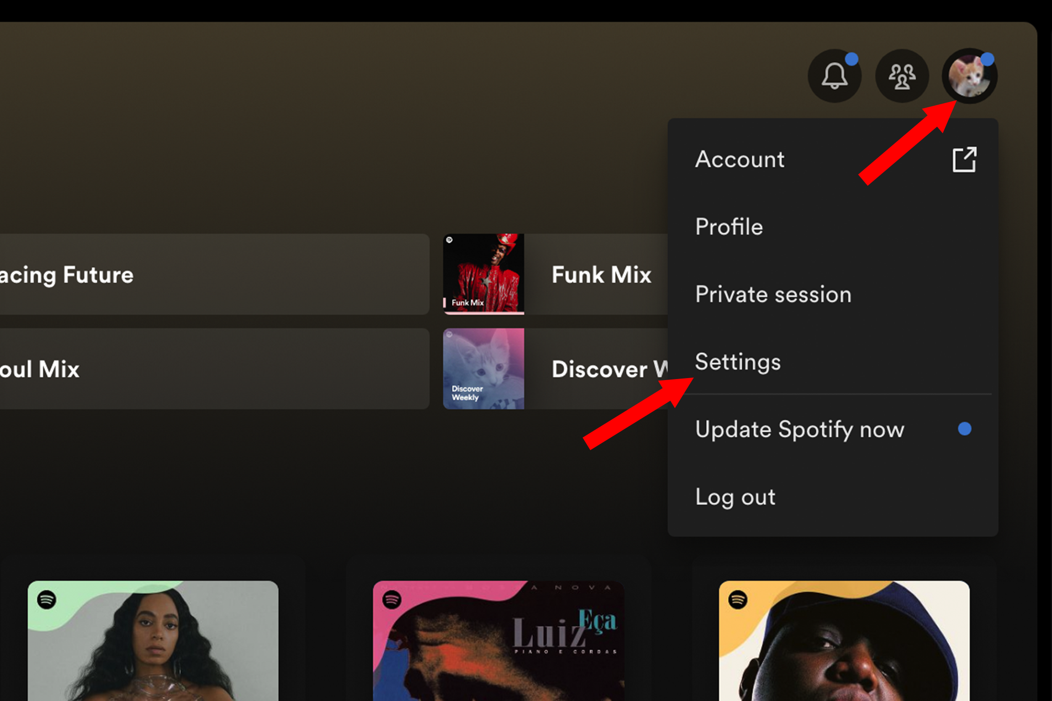 如何在 Windows 和 macOS 上清除 Spotify 的缓存