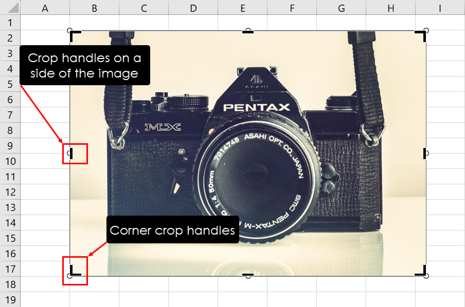 Crop handles on images in Excel