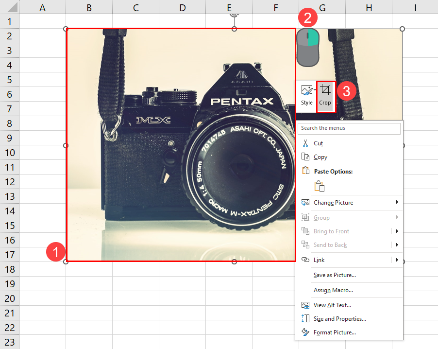 6 ways to crop images in Microsoft Excel